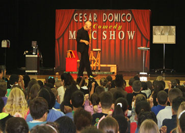 Schools Magic Shows